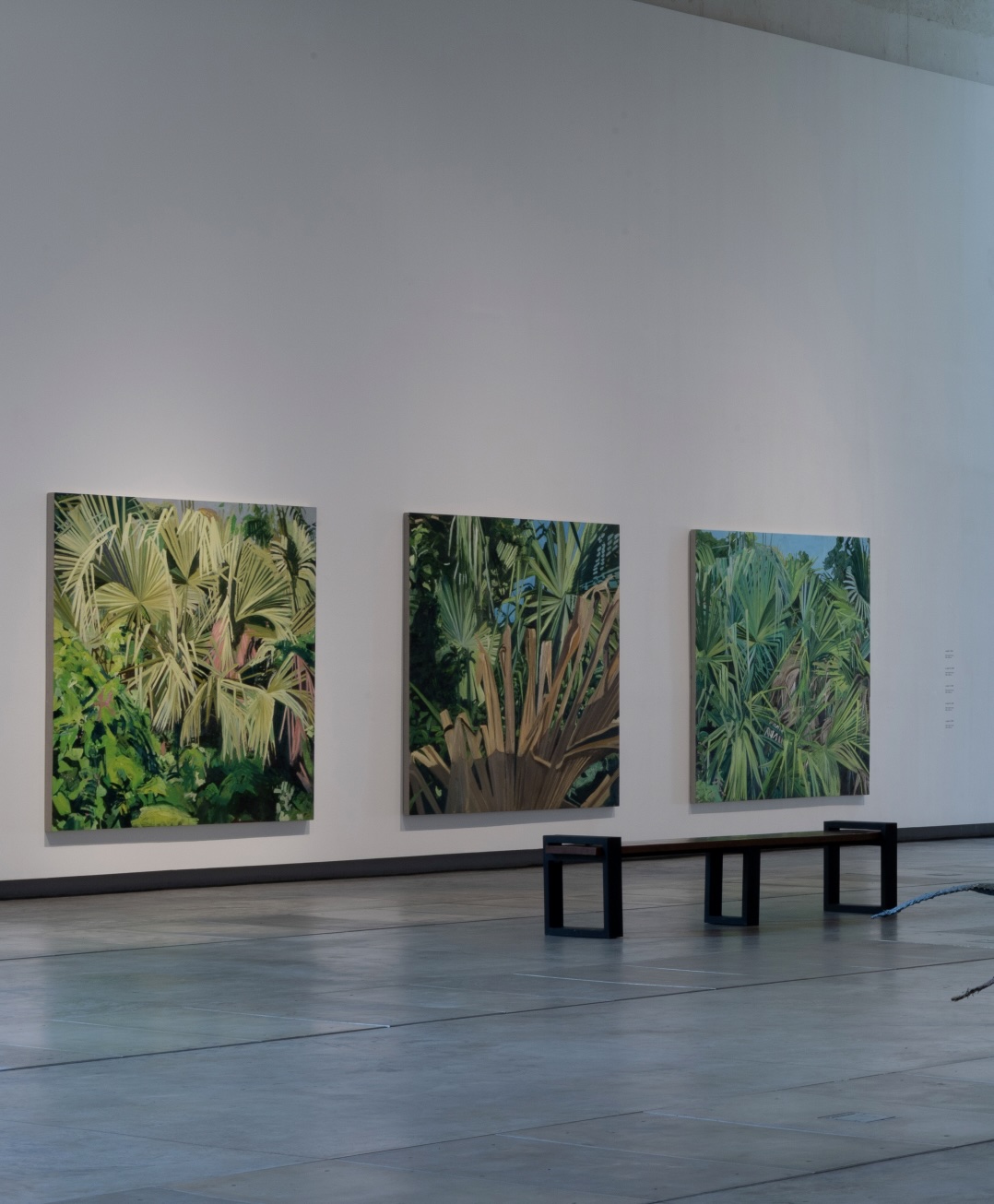 Jungle 46 